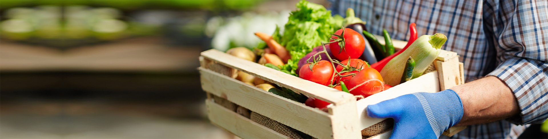 Imagem de uma caixa de madeira com verduras e legumes